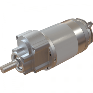 MRP11