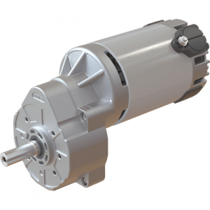 MRP12