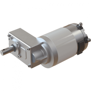 MRP4