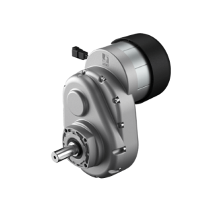 MRP19